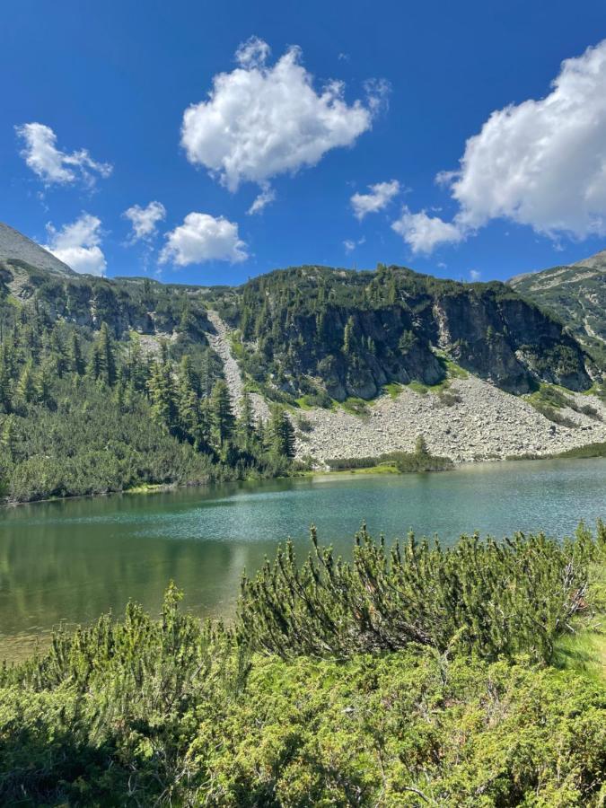 Boutique Apartment Bansko Bell Tower 外观 照片